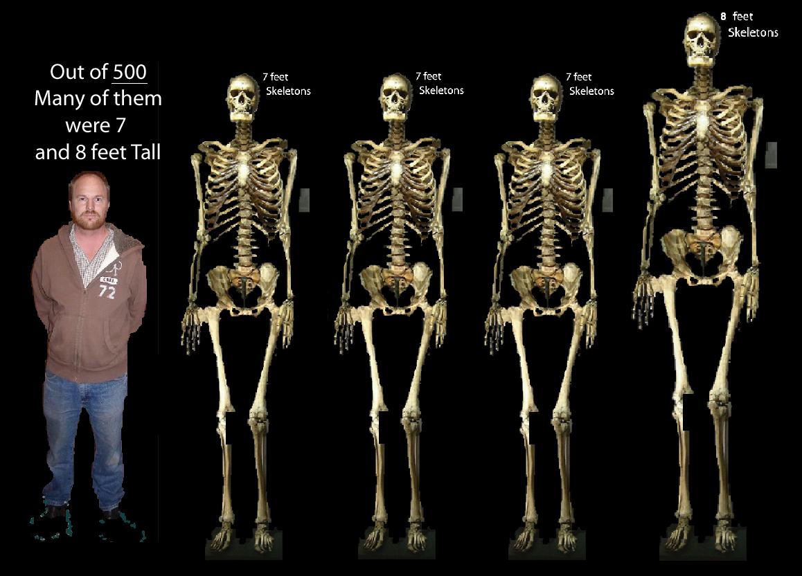 skeleton3 7 foots 1 eight