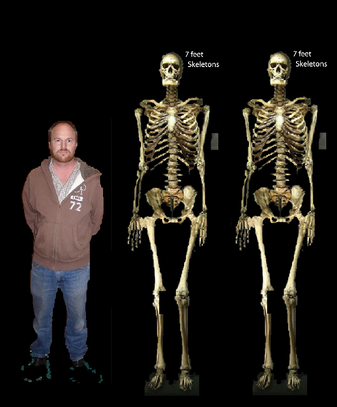 skeleton 2 7 foot