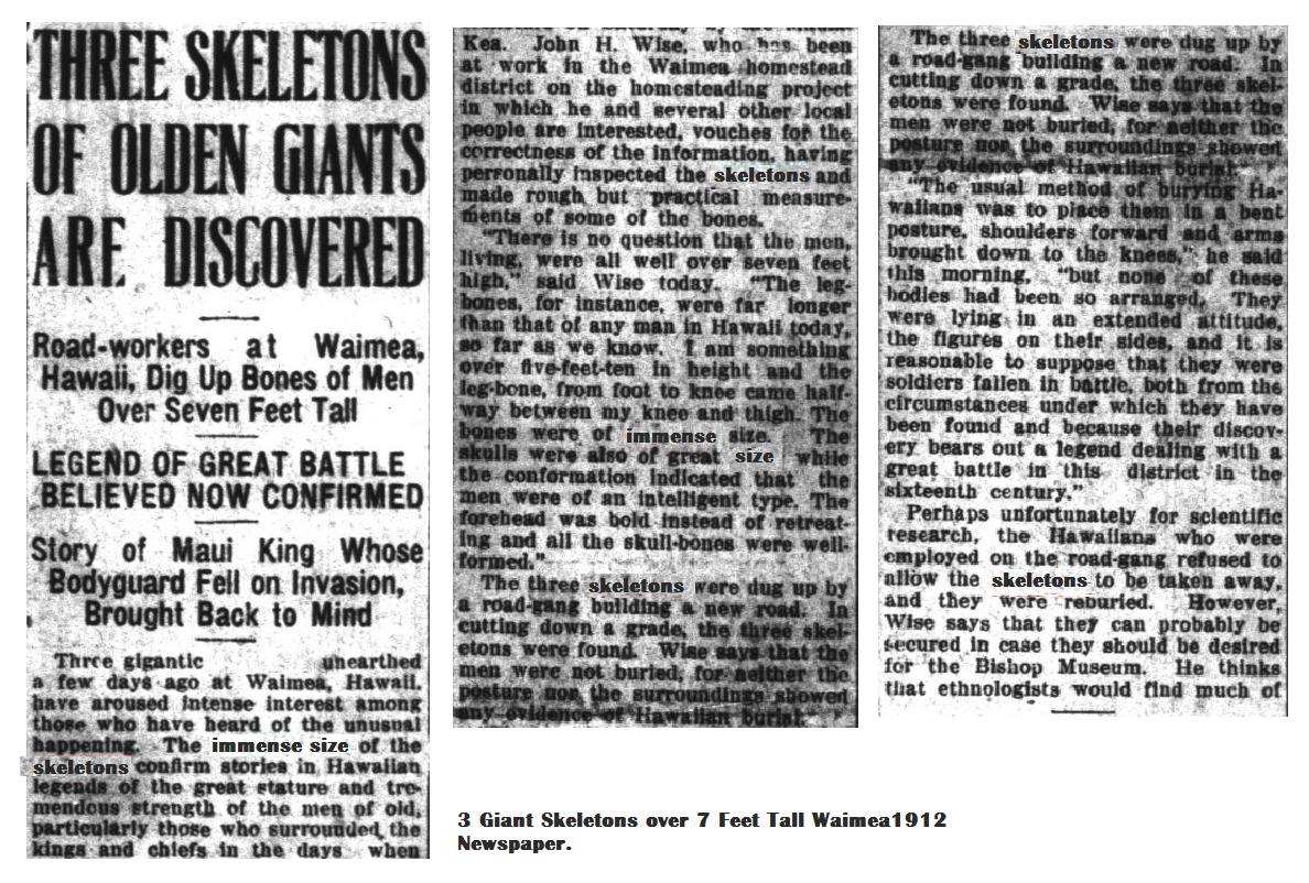 3 Giant Skeletons over 7 Feet Tall Waimea1912 Newspaper.