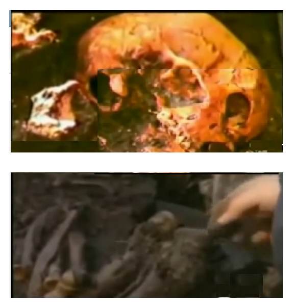 skull from video
