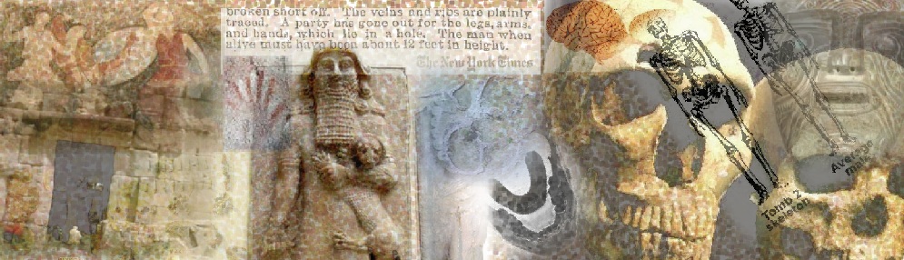 banner in color collage of archeology, skulls, jaws, and gant skeletons
