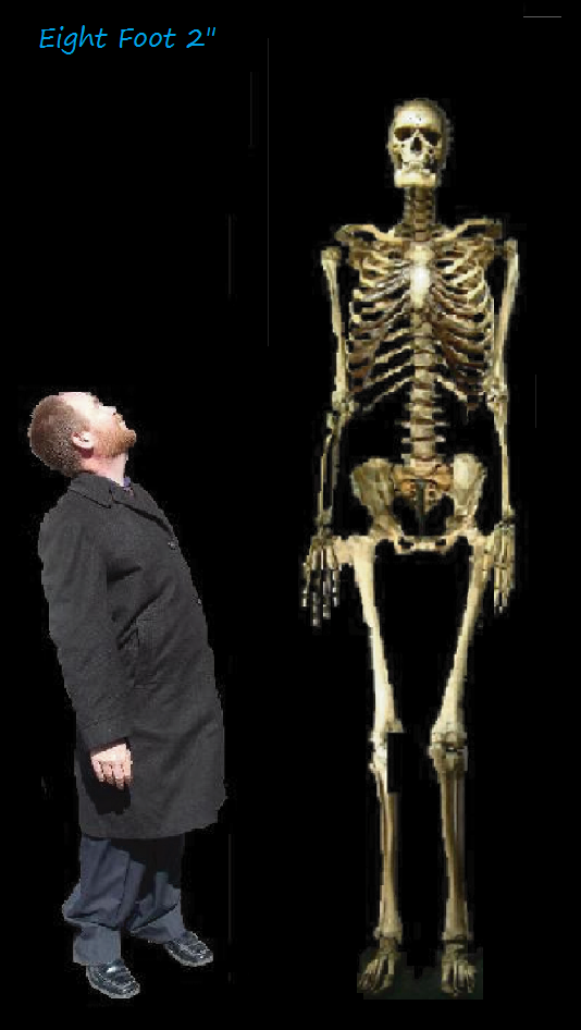 Chris Lesley in a trenchcoat standing beside and looking up to a 8 foot 2 inch skeleton, black background