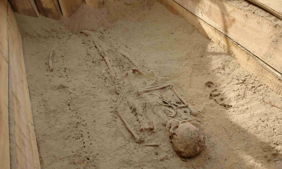 The skeleton of a young woman was one of the discoveries at Kungang tomb in Alar in the south of the Xinjiang Uygur autonomous region. The tomb is renowned for its giant mummies. PROVIDED TO CHINA DAILY